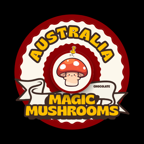 buy magic mushroom chocolate Australia